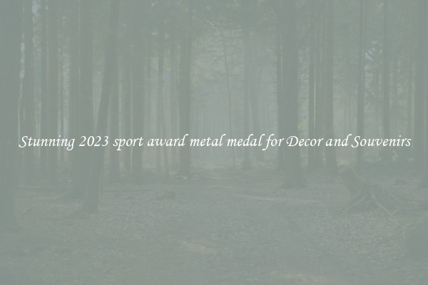 Stunning 2023 sport award metal medal for Decor and Souvenirs