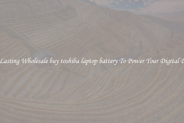 Long Lasting Wholesale buy toshiba laptop battery To Power Your Digital Devices