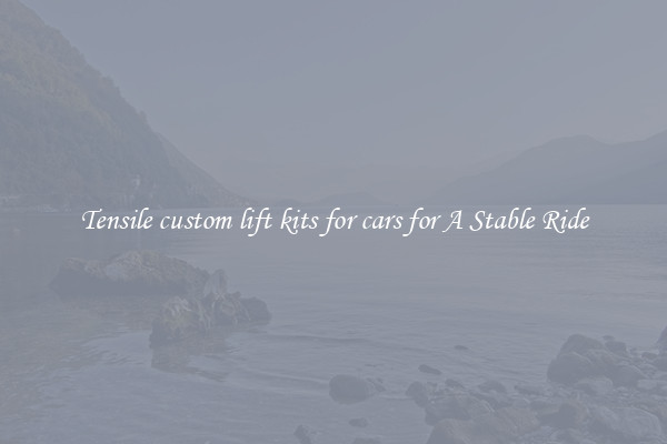 Tensile custom lift kits for cars for A Stable Ride