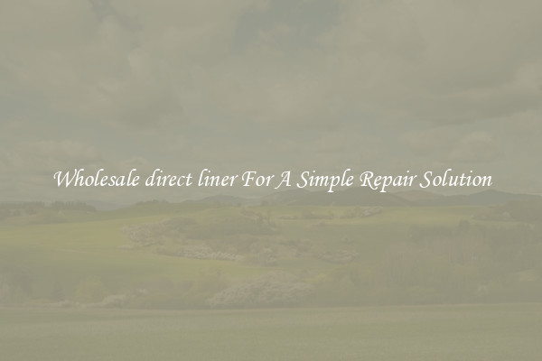 Wholesale direct liner For A Simple Repair Solution