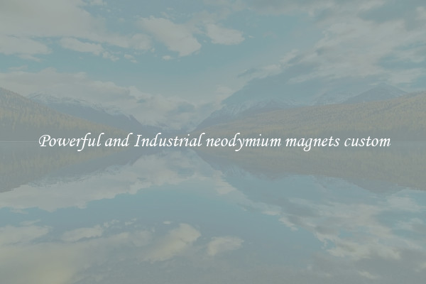 Powerful and Industrial neodymium magnets custom