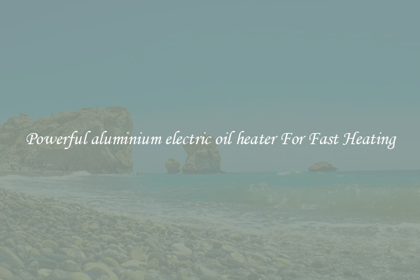 Powerful aluminium electric oil heater For Fast Heating