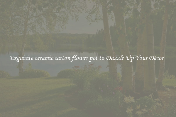 Exquisite ceramic carton flower pot to Dazzle Up Your Décor  