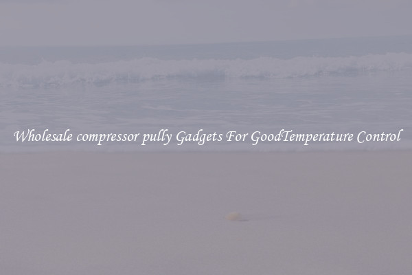 Wholesale compressor pully Gadgets For GoodTemperature Control