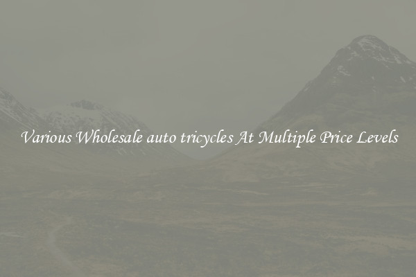 Various Wholesale auto tricycles At Multiple Price Levels