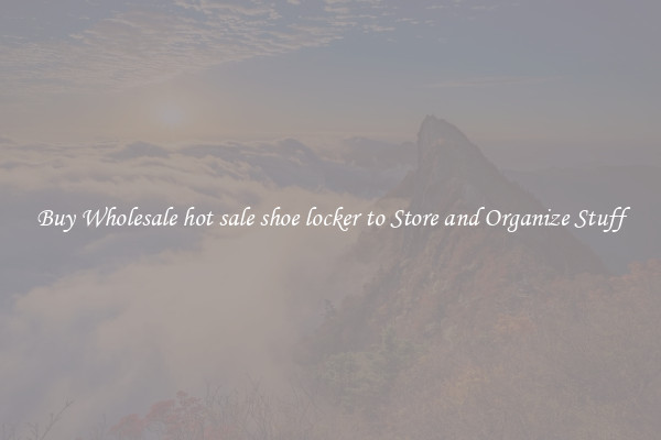 Buy Wholesale hot sale shoe locker to Store and Organize Stuff