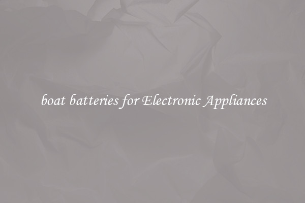 boat batteries for Electronic Appliances