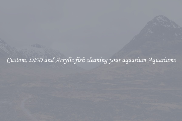 Custom, LED and Acrylic fish cleaning your aquarium Aquariums