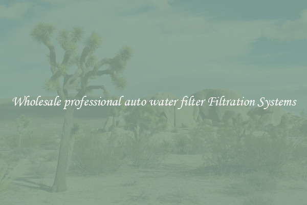 Wholesale professional auto water filter Filtration Systems
