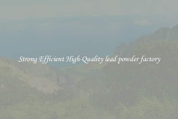 Strong Efficient High-Quality lead powder factory