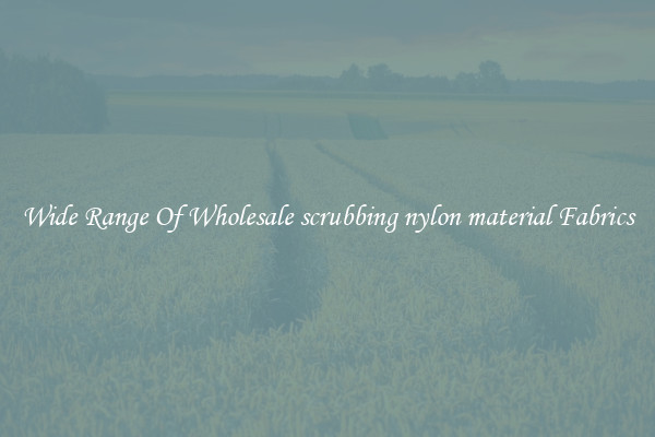 Wide Range Of Wholesale scrubbing nylon material Fabrics