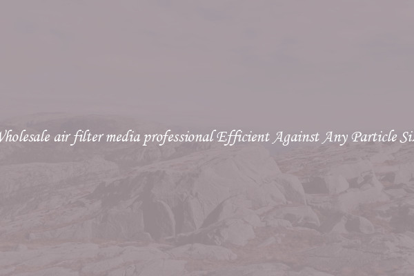 Wholesale air filter media professional Efficient Against Any Particle Size