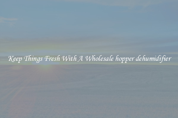 Keep Things Fresh With A Wholesale hopper dehumidifier