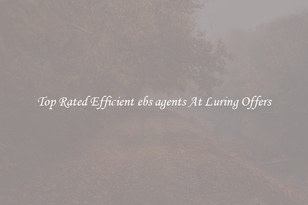 Top Rated Efficient ebs agents At Luring Offers