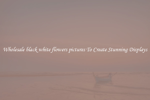 Wholesale black white flowers pictures To Create Stunning Displays