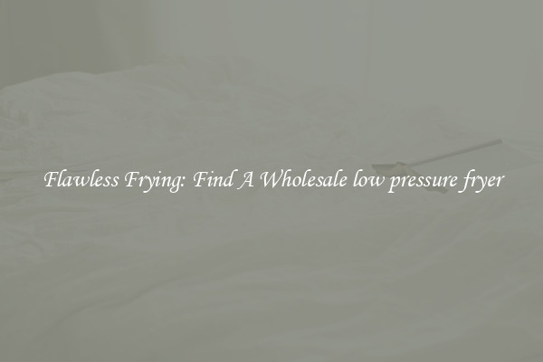 Flawless Frying: Find A Wholesale low pressure fryer