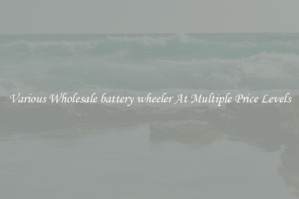 Various Wholesale battery wheeler At Multiple Price Levels
